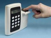 Security Management In Organizations